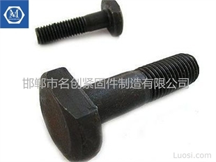 T型螺栓廠家直銷優(yōu)勢(shì)解析 聚焦邯鄲市名創(chuàng)緊固件制造